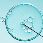 The Trump Admin Is Calling Frozen Embryos ‘Children’ Now
