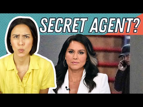 Tulsi Gabbard Caught Election Tampering