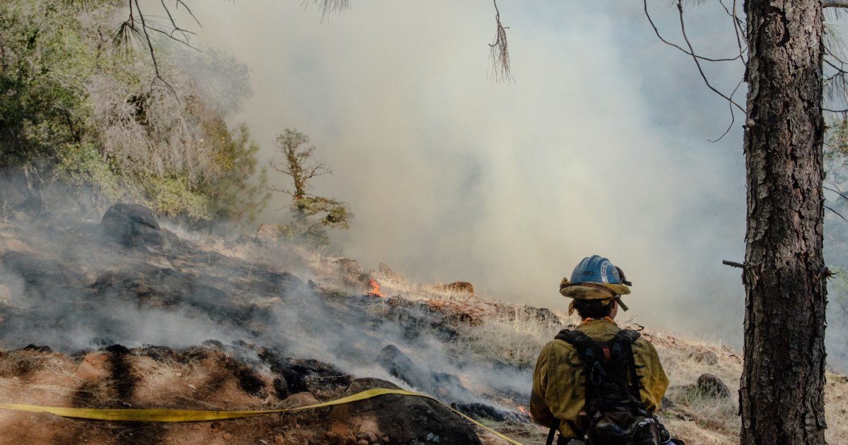 How Prescribed Burns Can Help Save Taxpayers Billions
