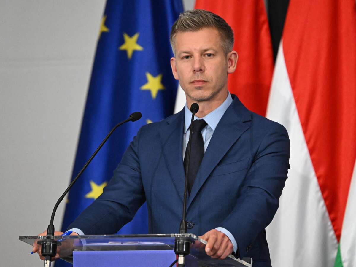 Hungarian Prime Minister-Elect Says Country Will Arrest Netanyahu If He Visits