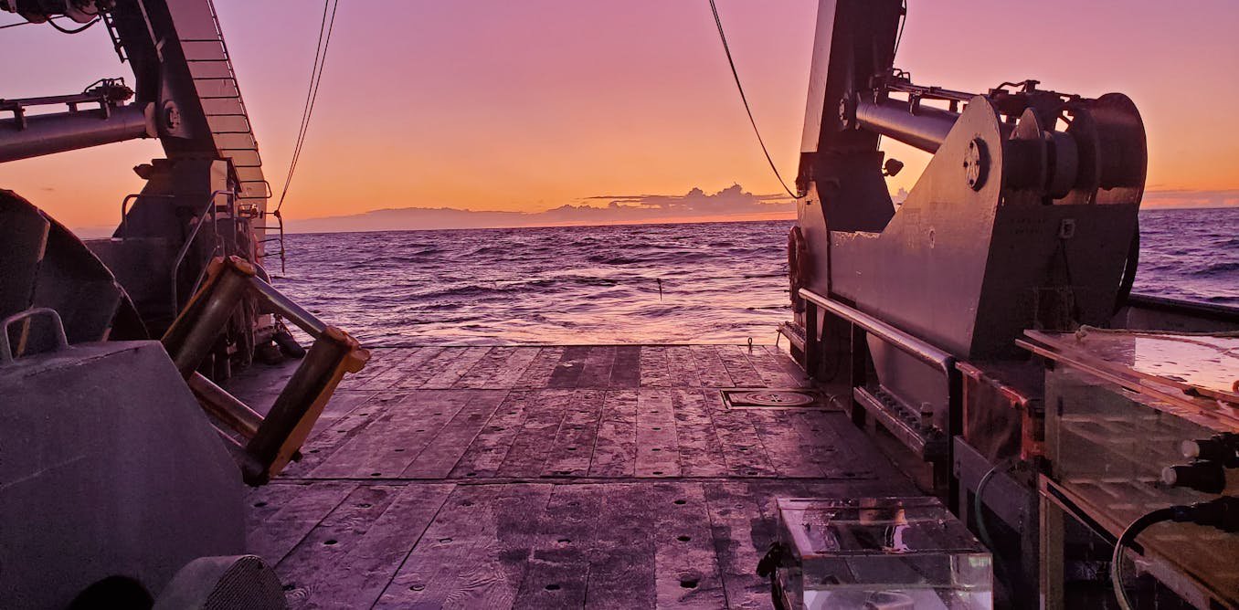 Viruses aren’t all bad: In the ocean, some help fuel the food web – a new study shows how
