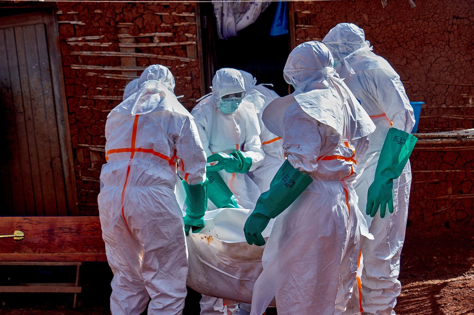 Scientists race to develop Ebola vaccines