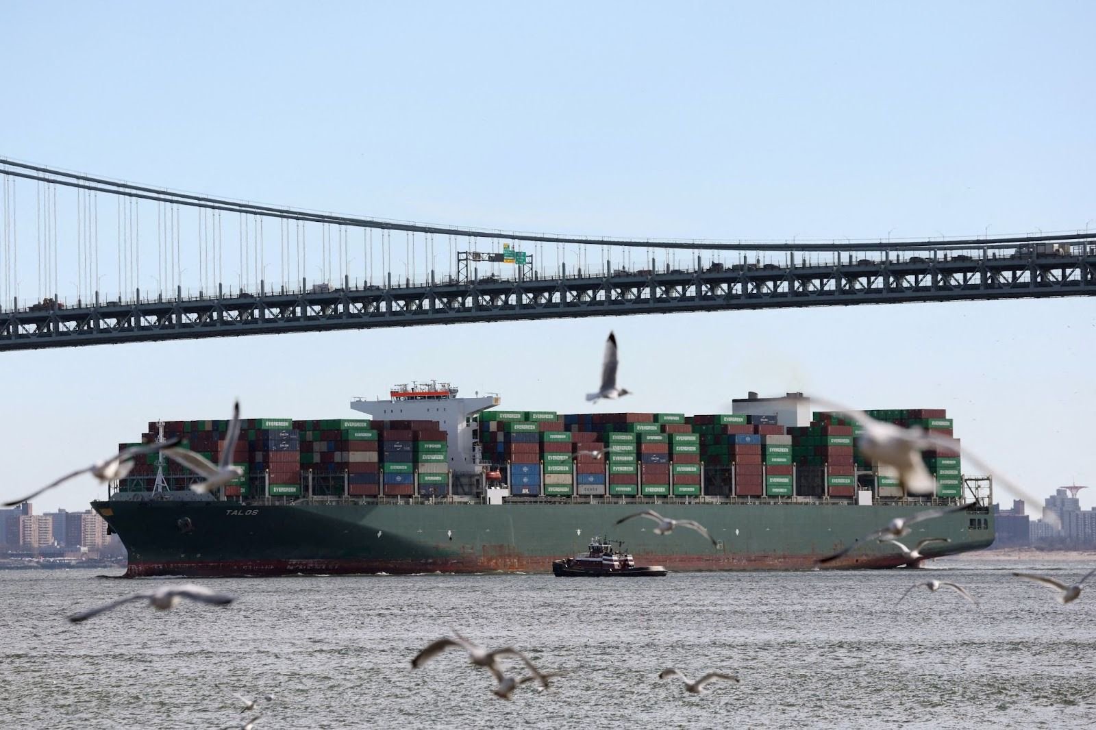 US consumers shoulder tariff costs, NY Fed report shows