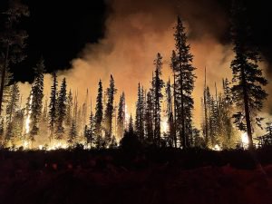 The Most Shocking Climate News of 2026