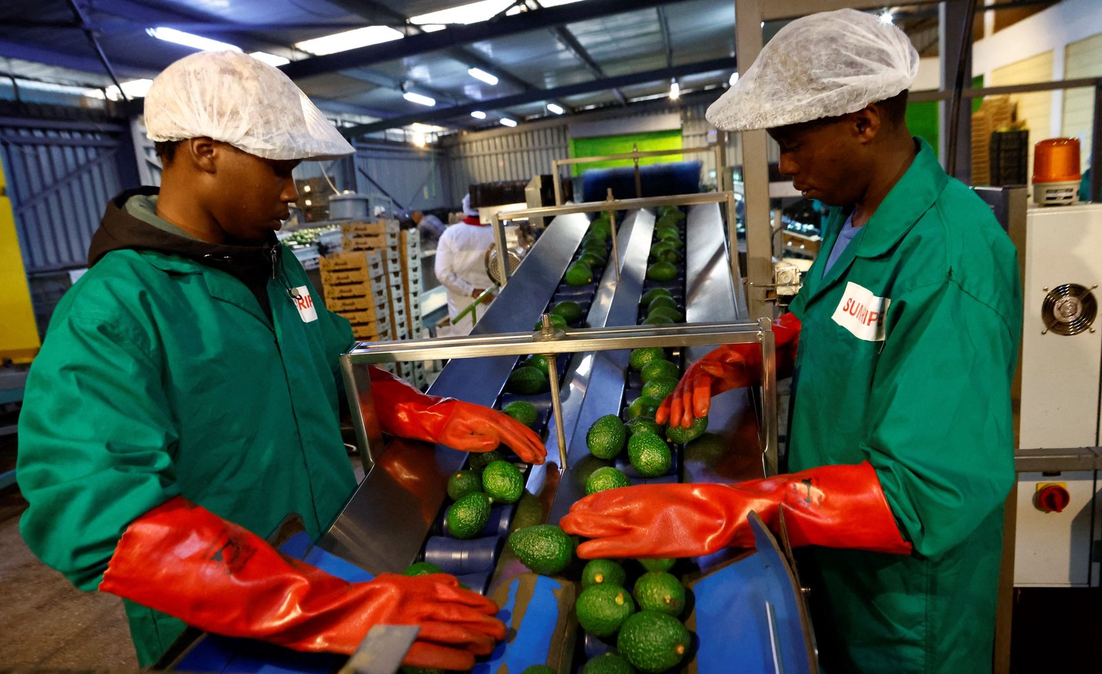Trade between Africa and China surged in 2025