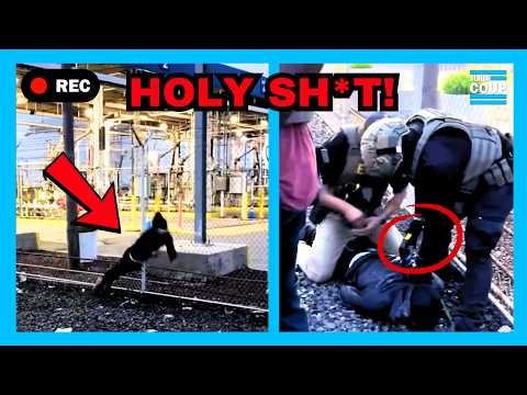 "SLAVE CATCHERS!": ICE TASES Protester On Train Track!