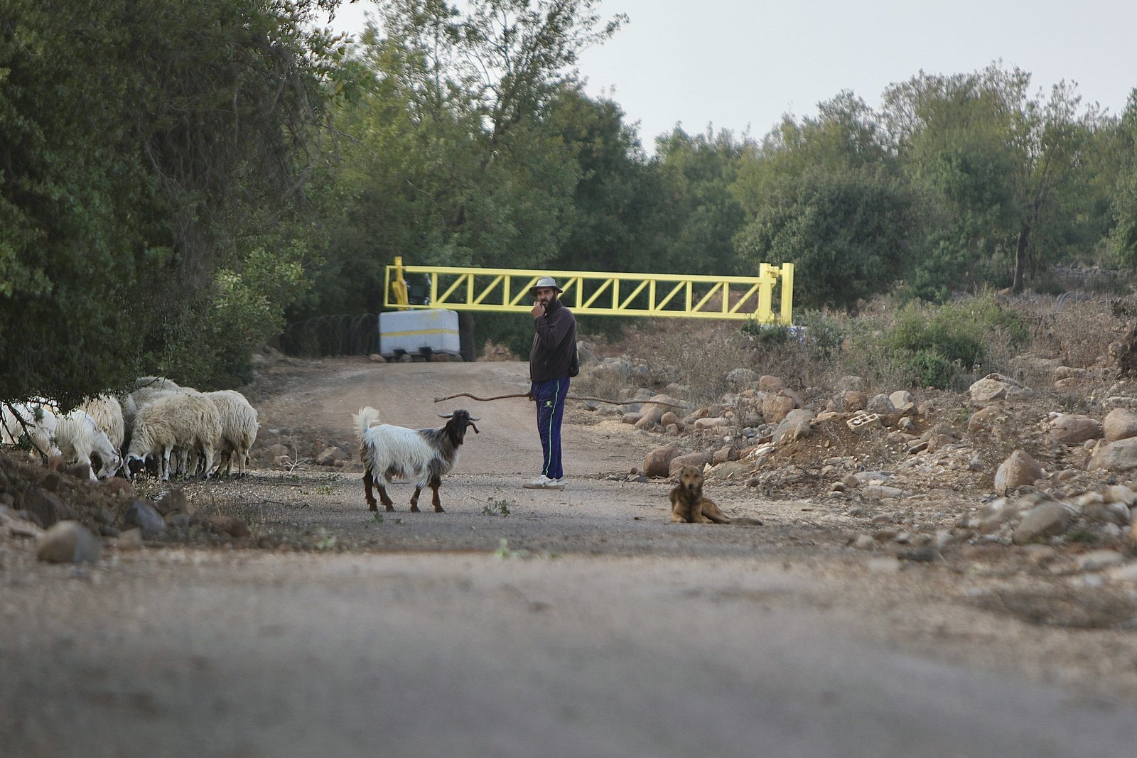 “A Second West Bank”: Israeli Military Raids Escalate in Occupied Syrian Border Villages