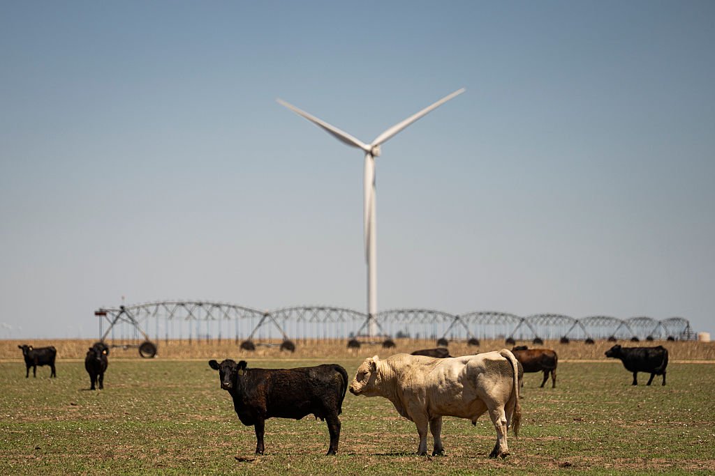 Forget Climate Doomerism. We Know What We Must Do to Protect the Planet.