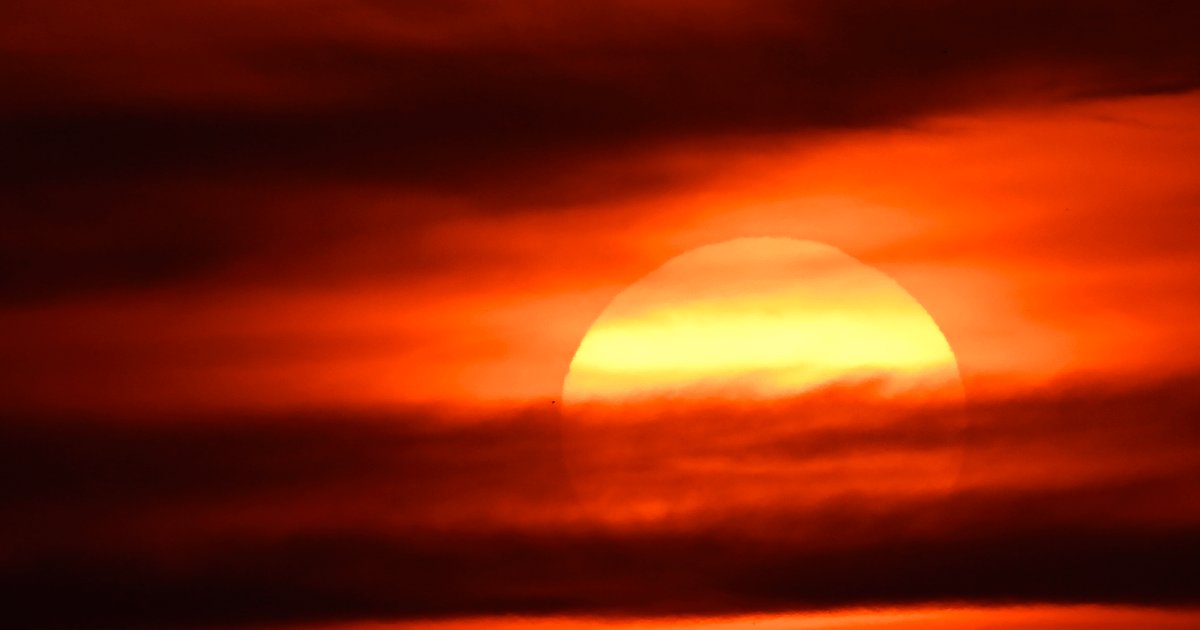 Scientists Ponder a New Climate Defense Tactic: Throwing Shade at El Niño