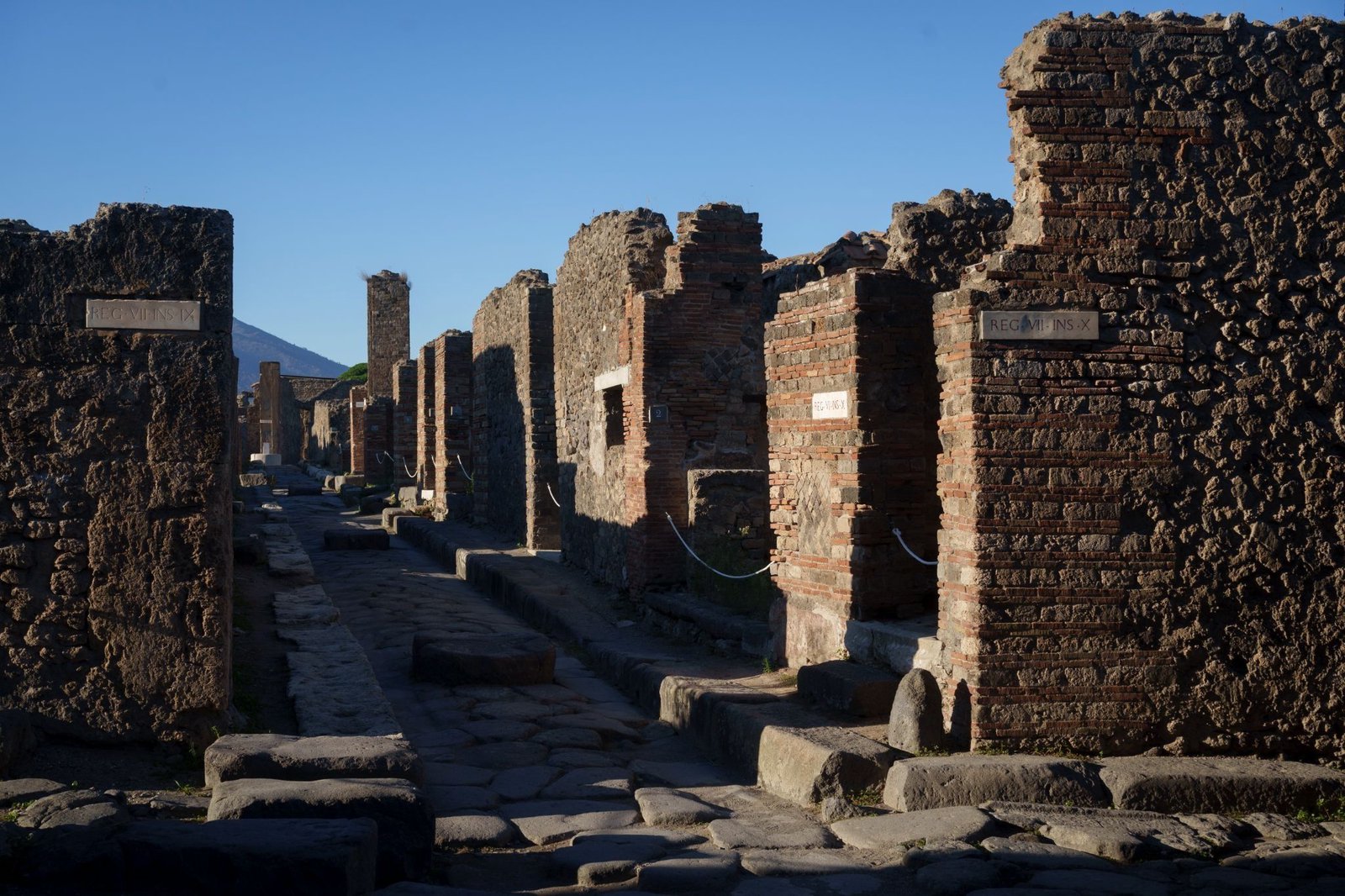 Resin analysis of incense in Pompeii links Roman city to African trade