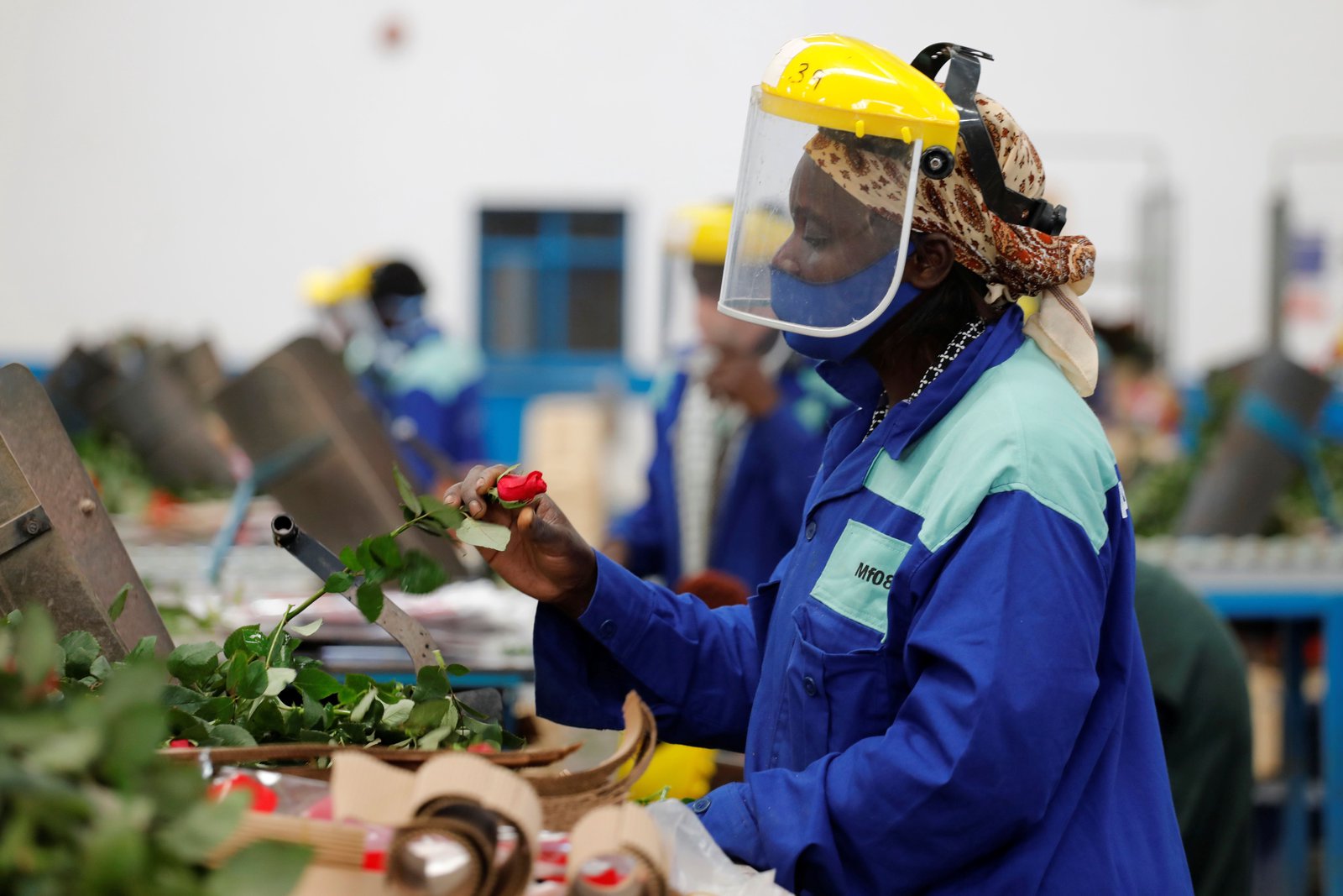 Kenya flower shipments hit by Mideast war