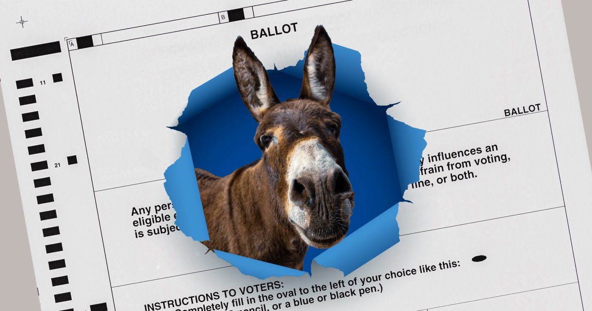 Downballot Democrats Are Smashing Recruitment Records