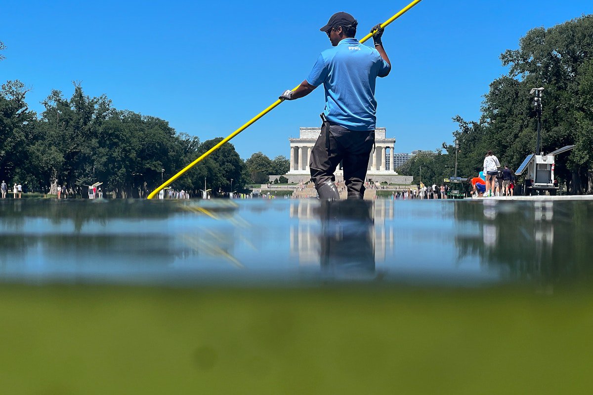 Trump’s Renovation Makes the Reflecting Pool Biologically Worse