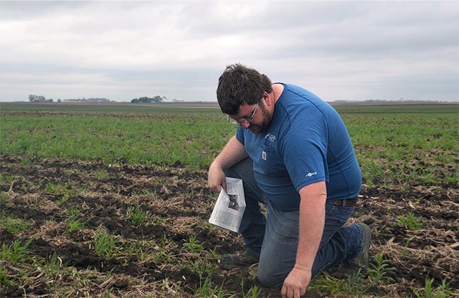 The “Lobe Rangers” Are Fighting to Make Farming in Iowa More Sustainable