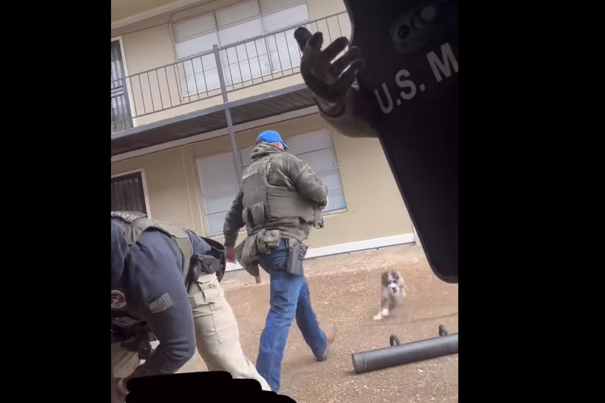 U.S. Marshals Defend Viral Video of Agent Kicking a Dog