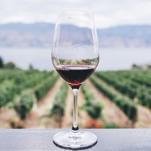Trump Tariffs Have Made This the Worst Time for American Wine in Literally Decades
