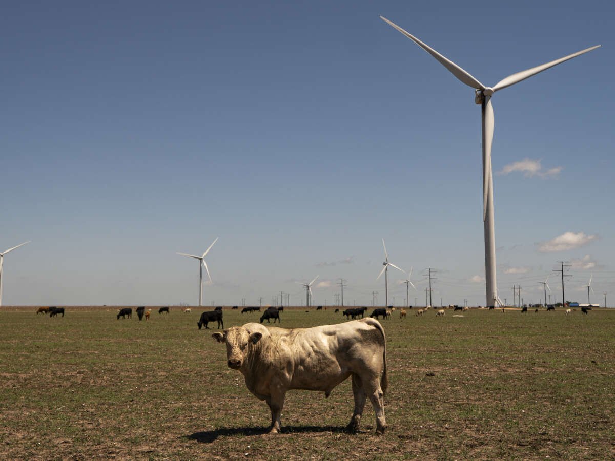 Trump Administration Drops Effort to Halt Wind Energy Projects Across the US