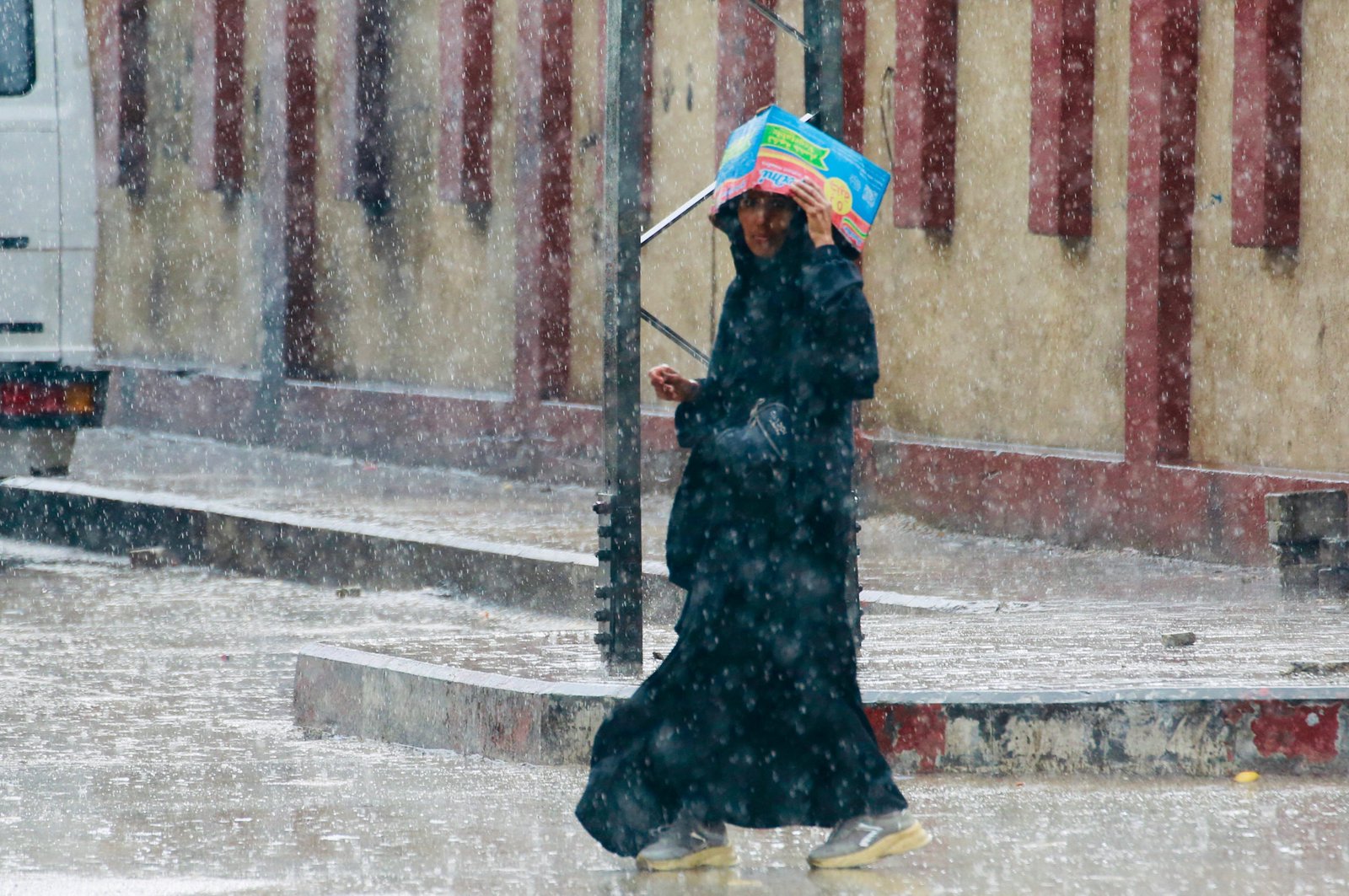 Gaza faces more winter storms; RSF declares “truce” in Sudan after genocidal killing spree; Trump to reassess all Biden refugees