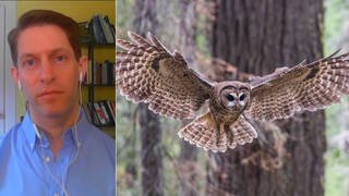 Earthjustice Sues to Block Trump's Move to Gut Endangered Species Act