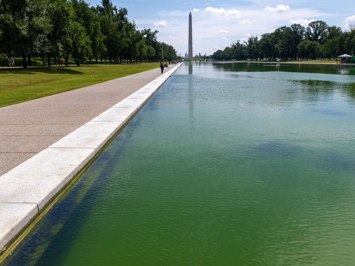 Trump Threatens ABC News Over Coverage of Costly Reflecting Pool Project