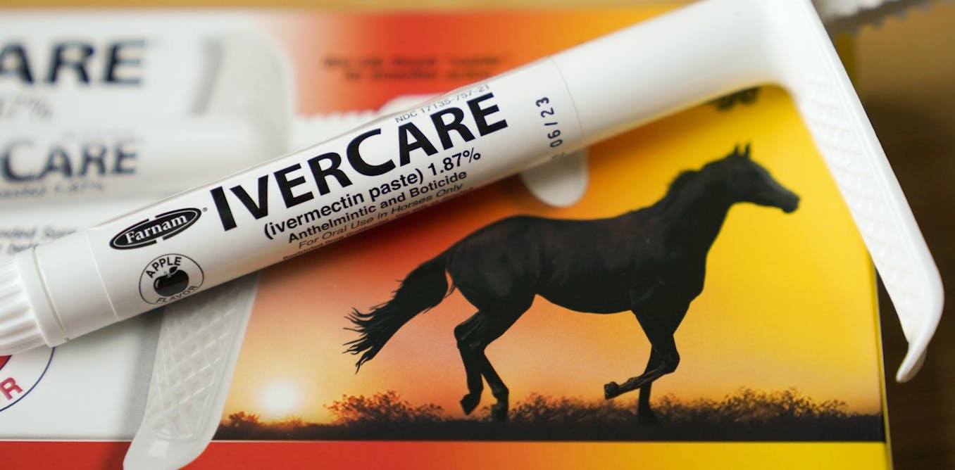 Ivermectin isn’t a cancer miracle drug, but influencers claim otherwise – here’s how to avoid sprinting past scientific evidence
