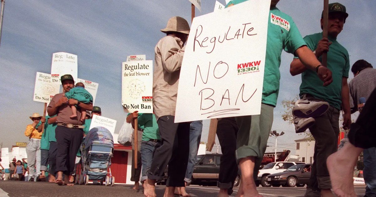 Why Mandatory Green Policies Often Backfire