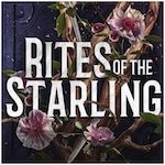 The Jezebel Summer Romantasy Reading Guide