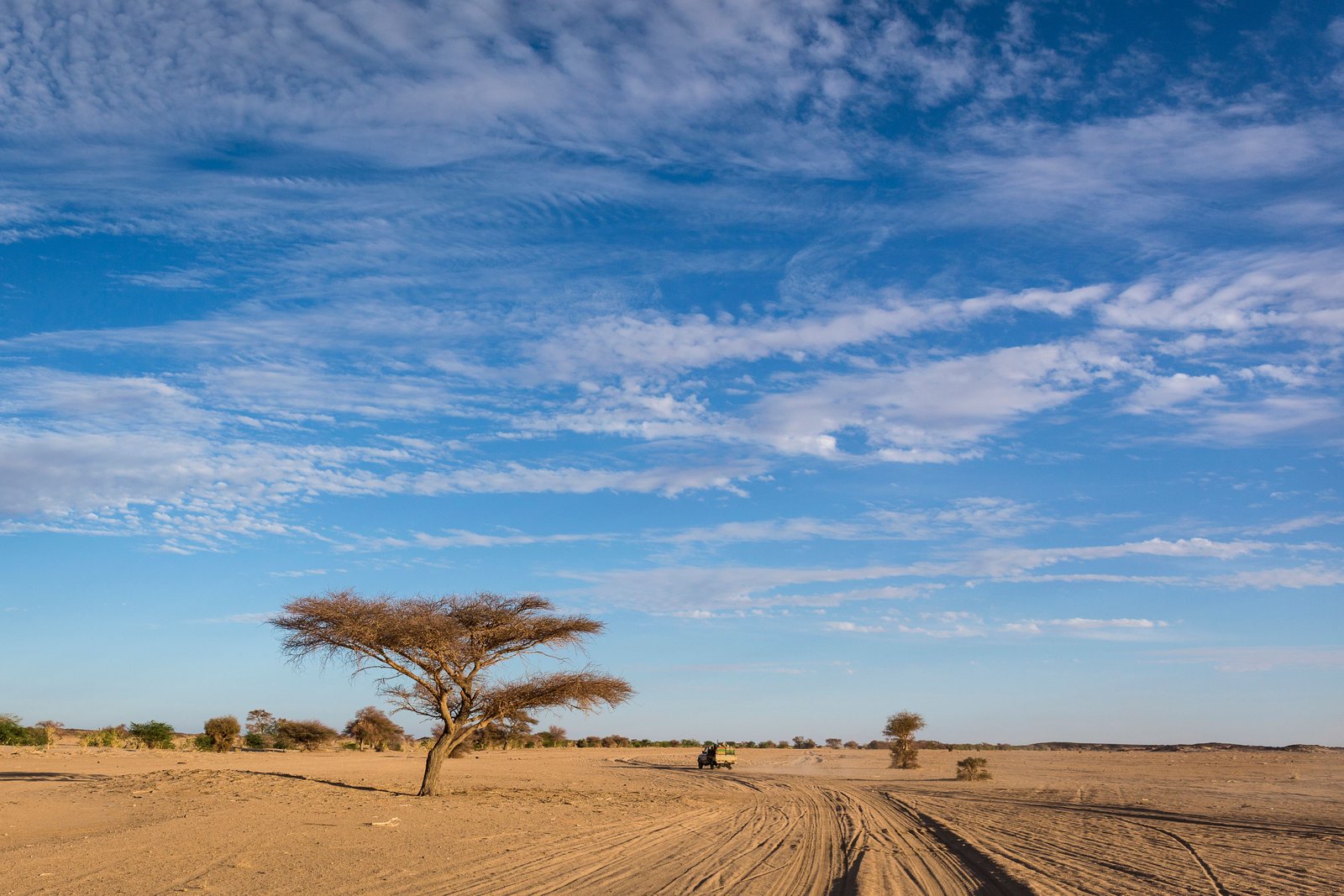 Heat-related deaths in Africa projected to rise