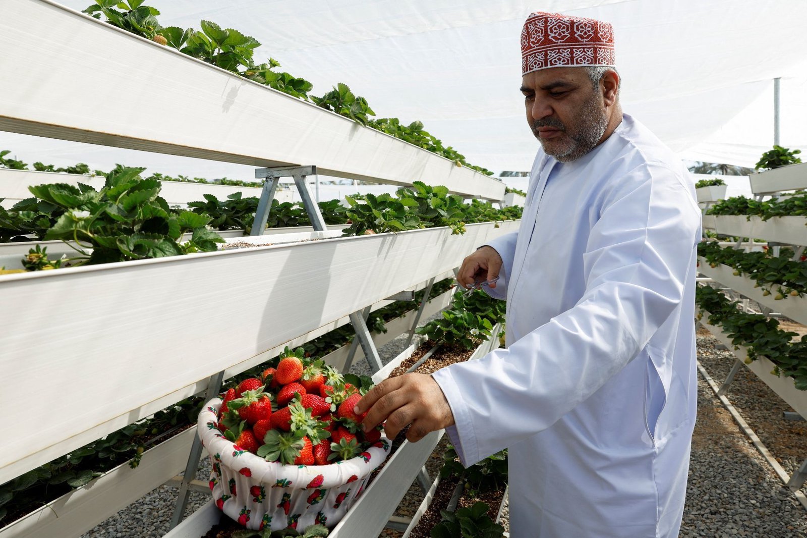 Oman pours money into food security with $4.2B agriculture development