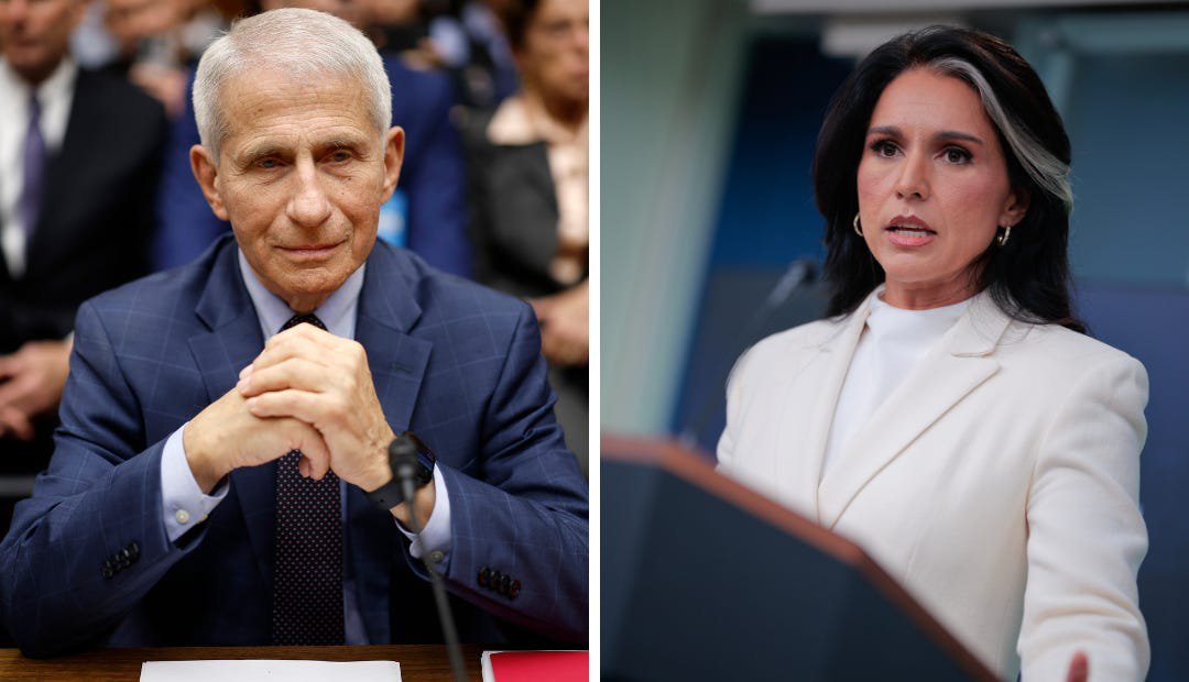 Tulsi, Trump, and the War on Fauci – Part 1: The Smear Campaign