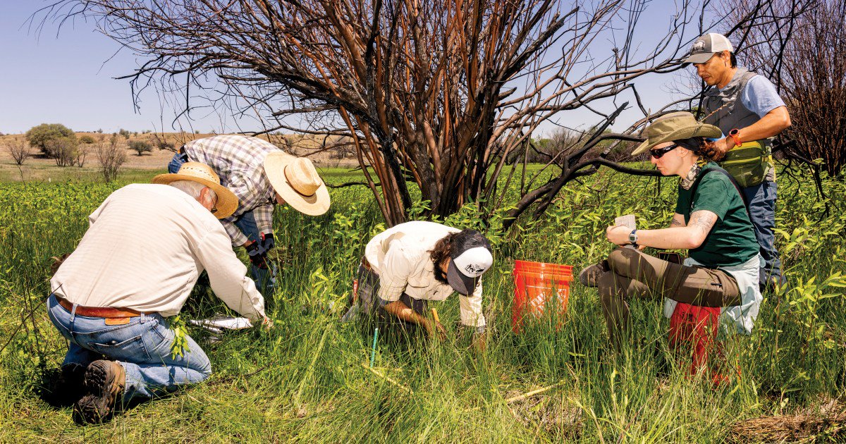 It Took a Decade, Two Sniffer Dogs, and a Lot of Mud to Protect This Orchid