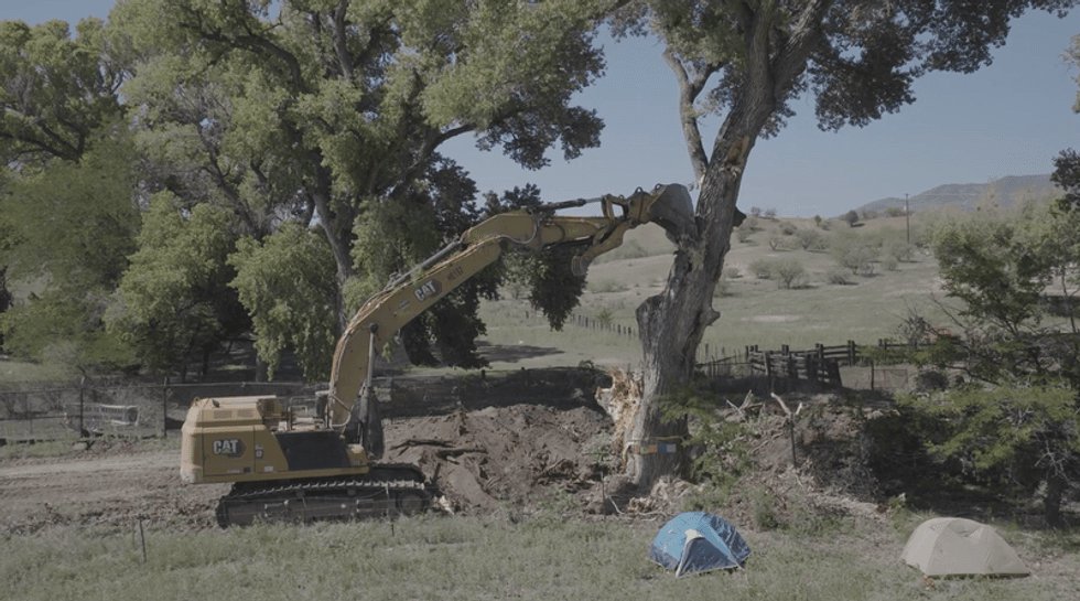 Border Wall Construction Triggers Tree Sit to Save Ancient Arizona Cottonwood