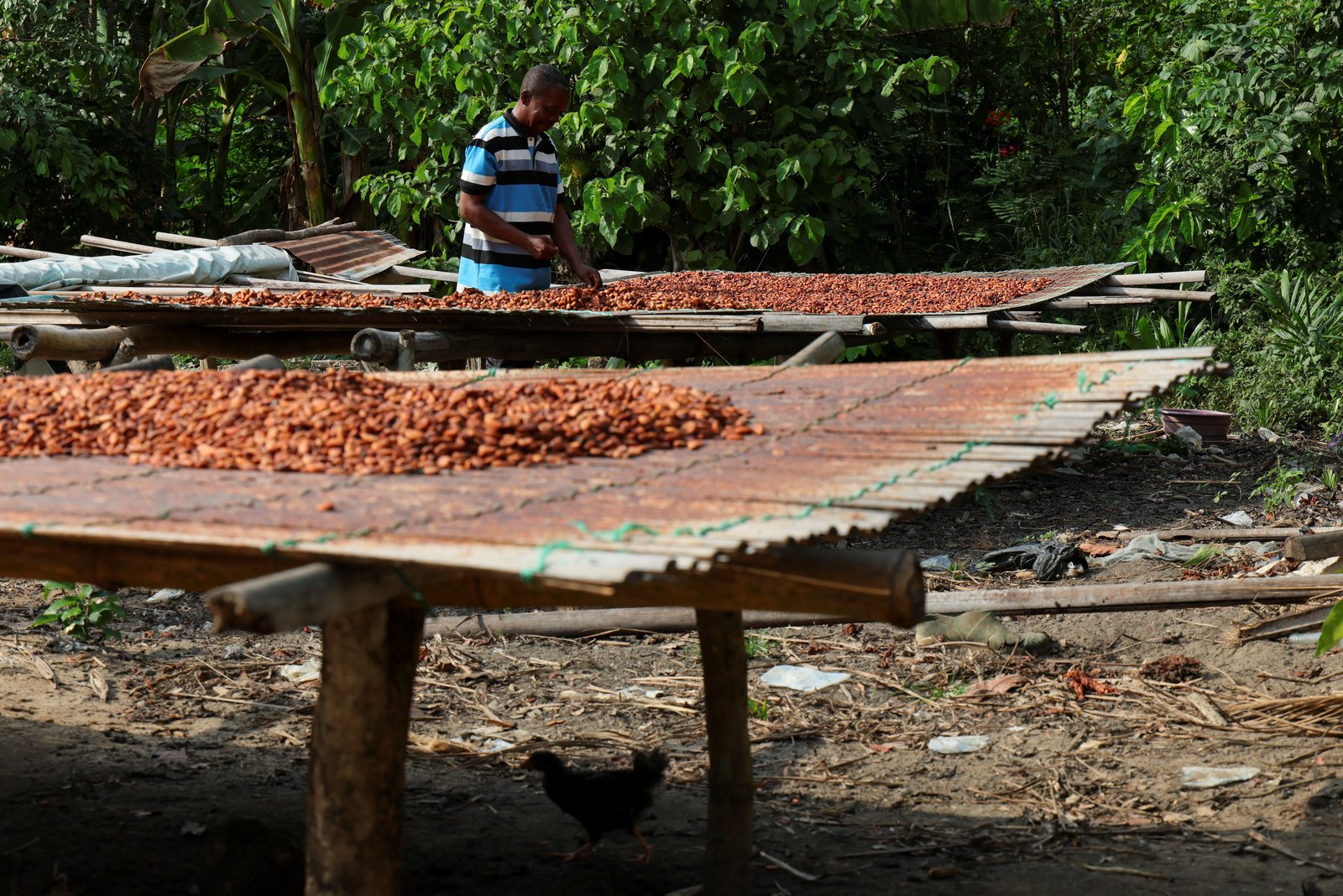 Cocoa giants Ghana, Côte d’Ivoire vow to cooperate on prices