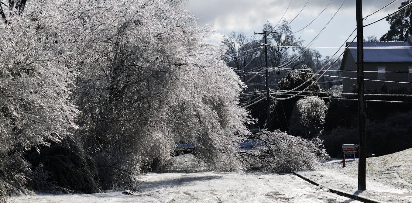 Data centers told to pitch in as storms and cold weather boost power demand
