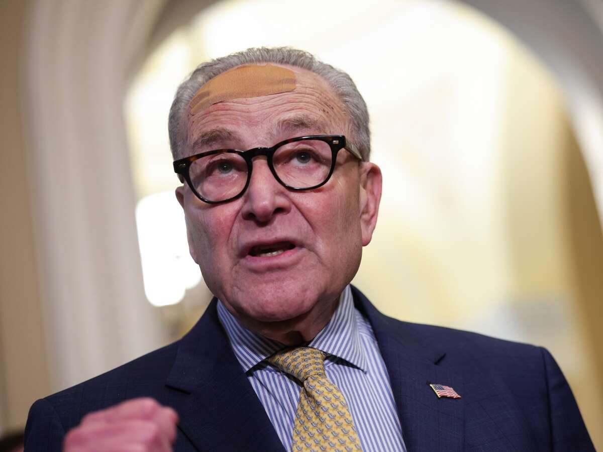 Progressive Dem Candidates Are Using Their Opposition to Schumer to Pitch Voters