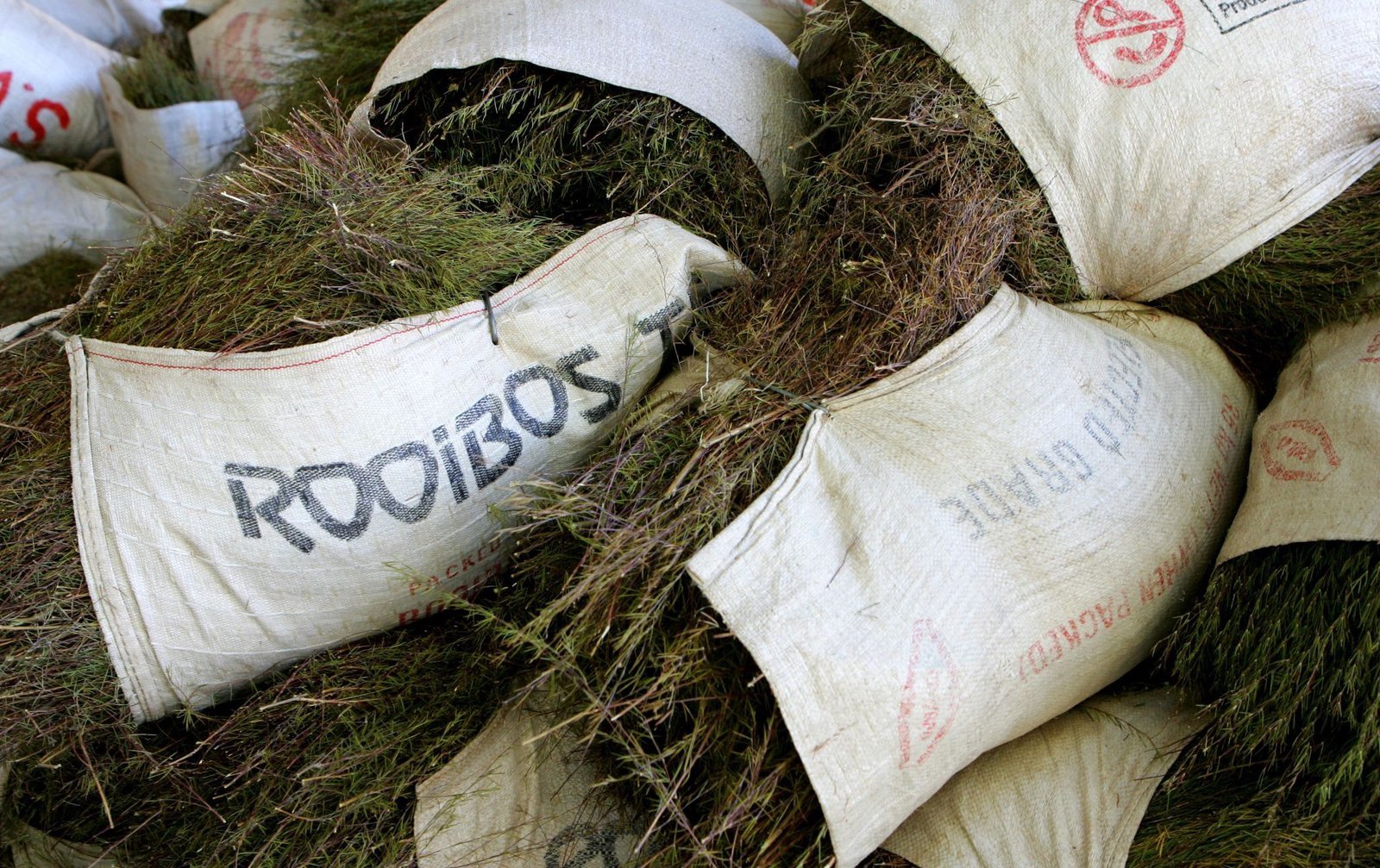 South African rooibos tea seeds head to space