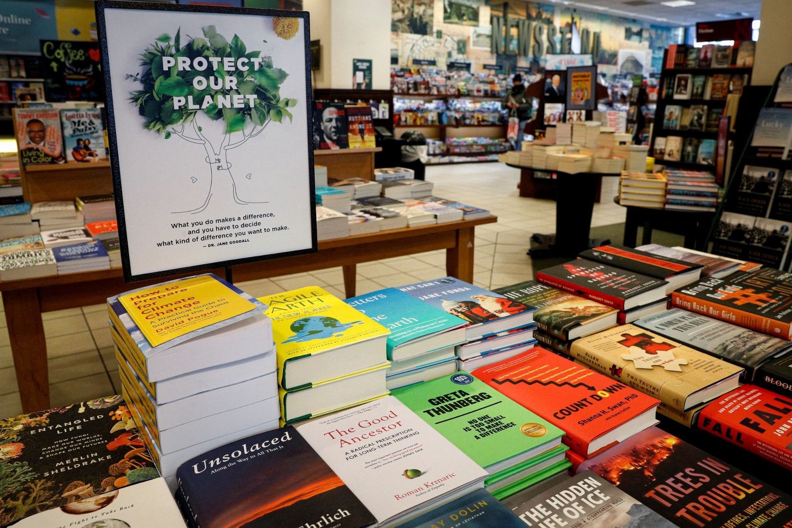 It's been a rough year for nonfiction