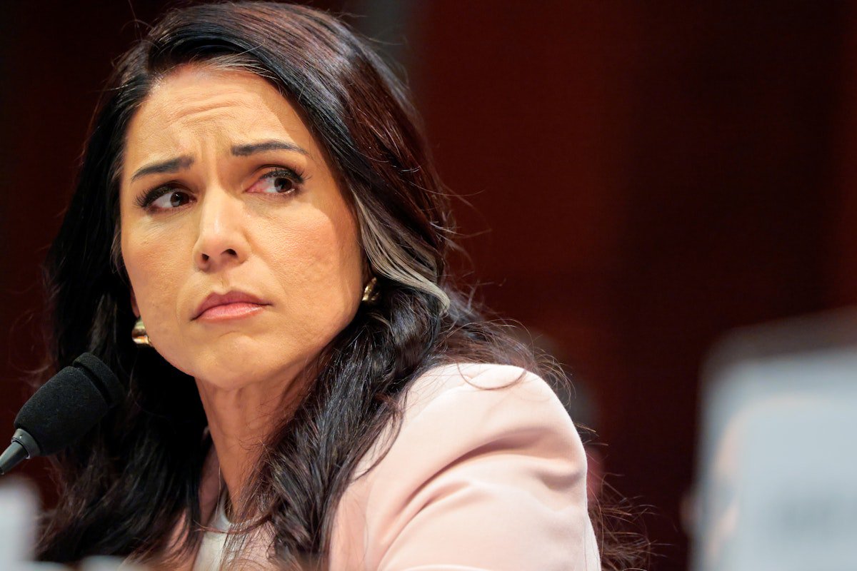 Tulsi Gabbard Says U.S. and Israel Have Very Different Goals in Iran