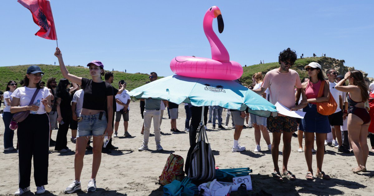 How the Flamingo Became a Potent Protest Symbol