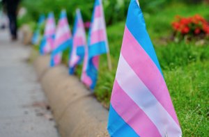 What Trump’s New Study Says About Support for Trans Rights — and Why Experts Are Worried