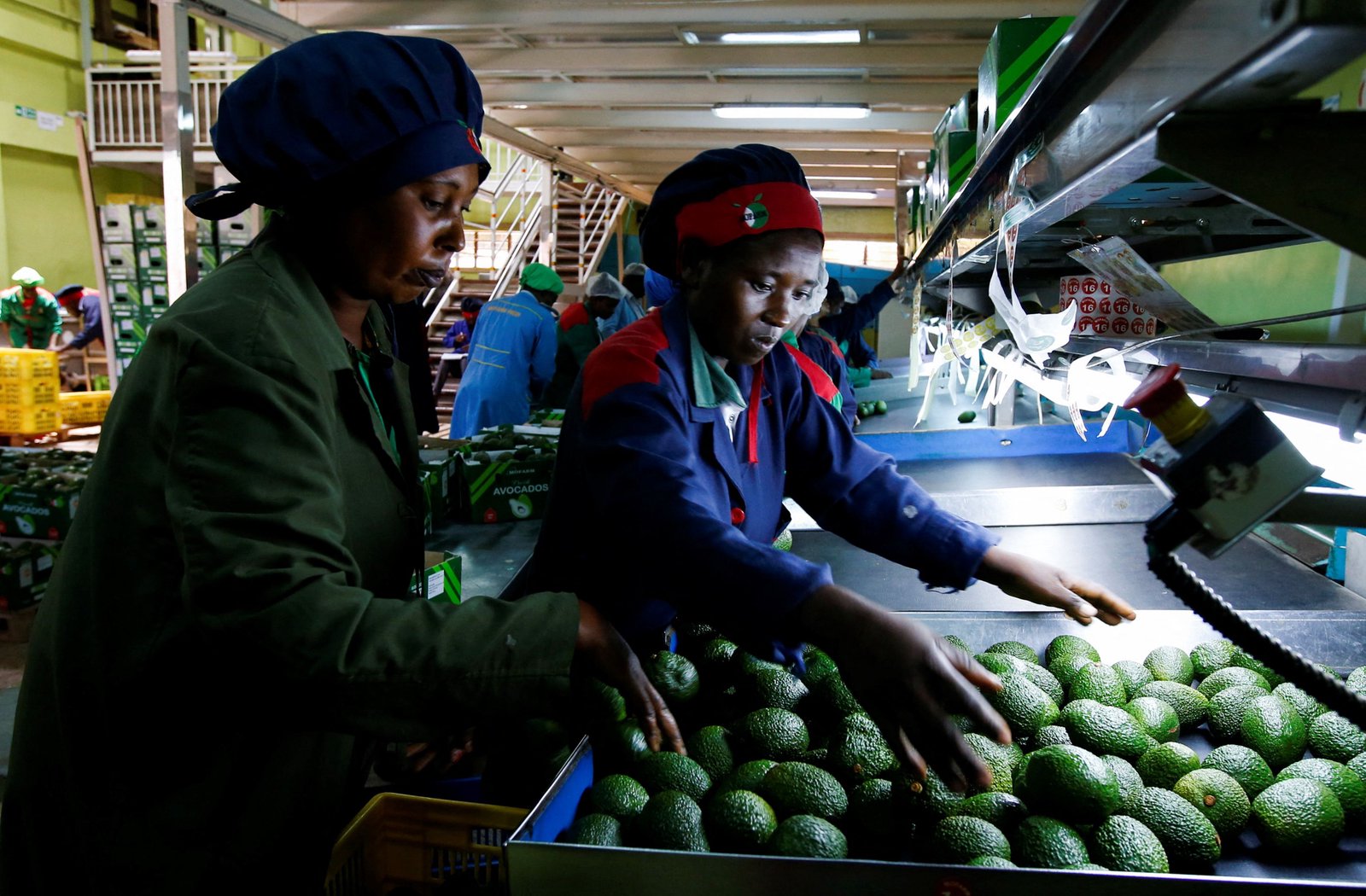 Beijing offers 53 African countries tariff-free trade access