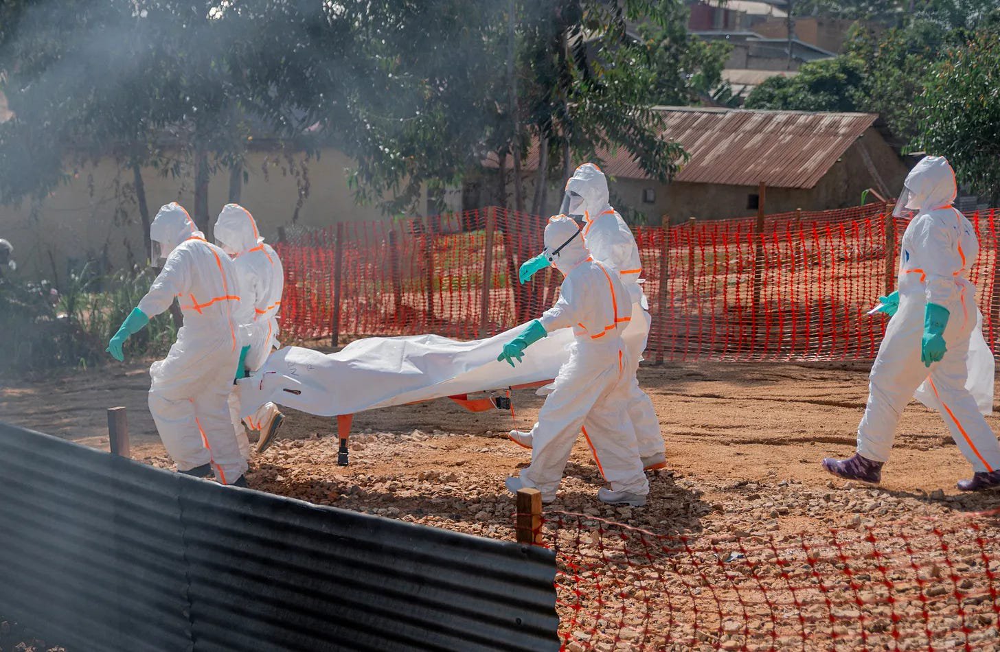 Blame Elon Musk and Donald Trump for the Out-of-Control Ebola Crisis