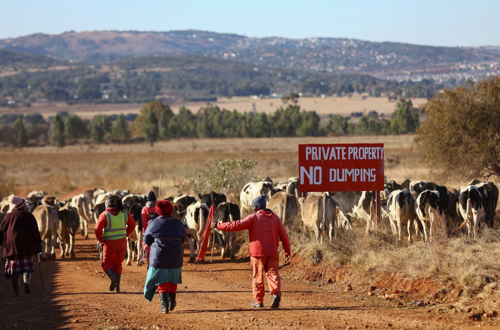 South Africa's Democratic Alliance leads land reform lawsuit