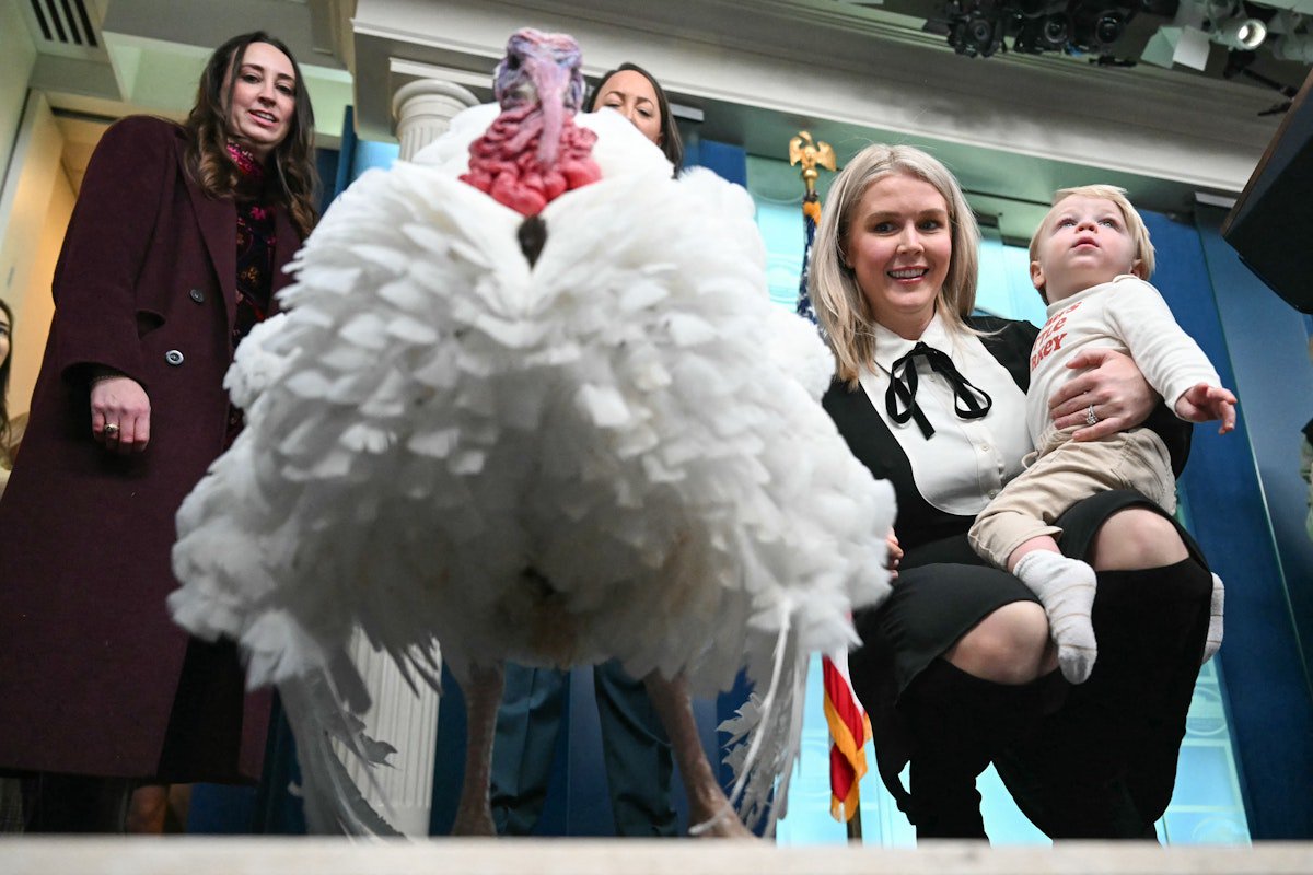White House Blocks Photo of Karoline Leavitt With Turkey Neck