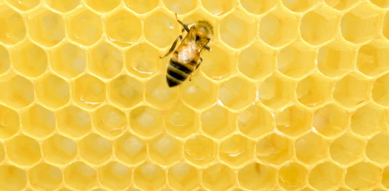 Building with air – how nature’s hole-filled blueprints shape manufacturing
