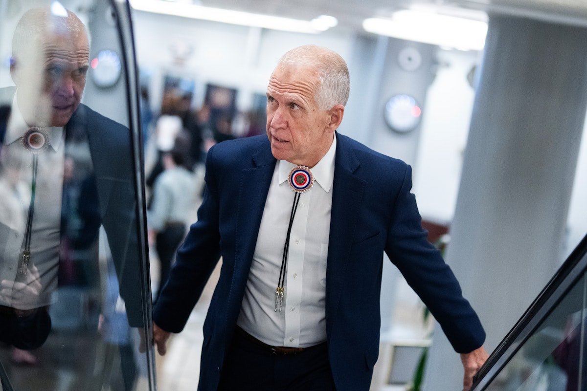“Stupid on Stilts”: Republican Senator Rips Trump’s Slush Fund