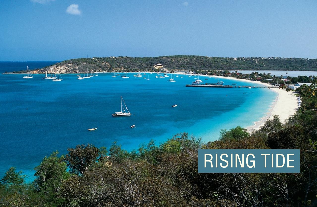 Caribbean island of Anguilla makes millions from .ai web domain