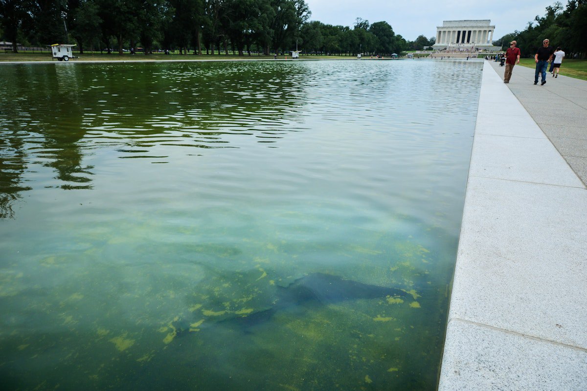 Pirro Reveals Reflecting Pool Indictment of U.S. Olympian Is a Sham