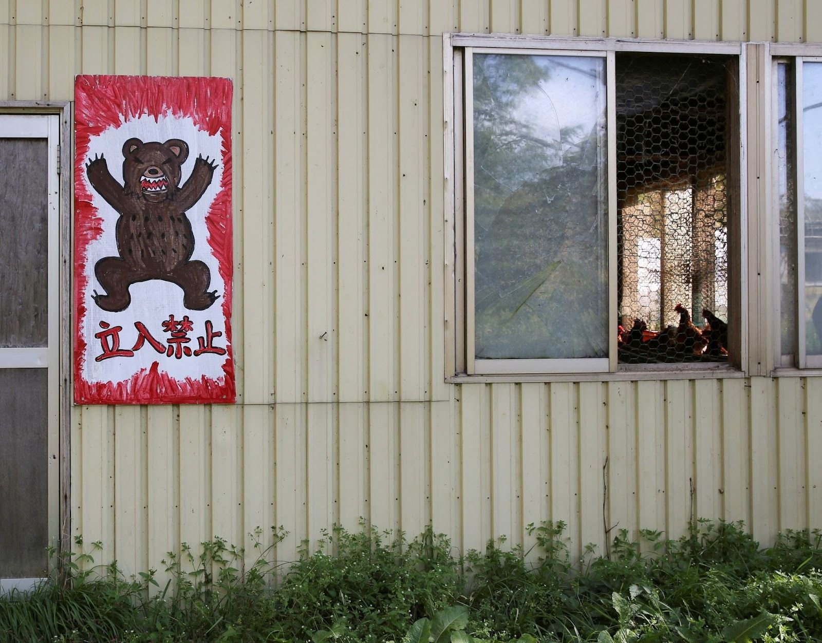 Japanese military dispatched to halt major bear incursion