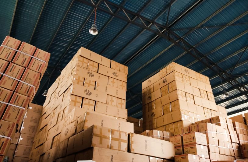 How Freight Management Software Improves Logistics Efficiency and Reduces Costs